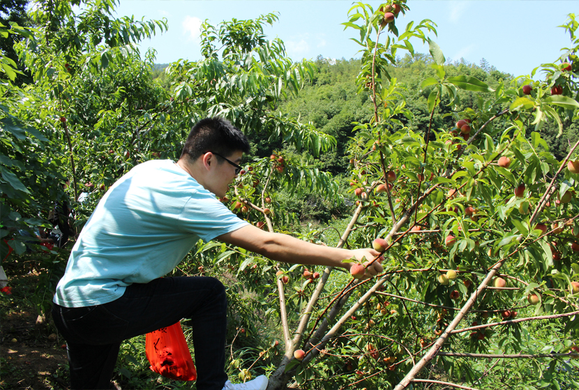 1590133179323042.jpg 1010.jpg