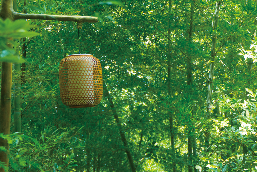 1597475048886574.jpg 1597047783600409.jpg