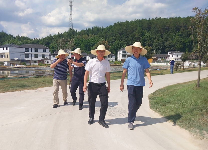 1597974600358218.jpg 1593768609400494.jpg