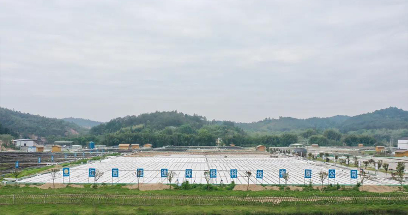 1597978815373116.jpg 1593768609400494.jpg