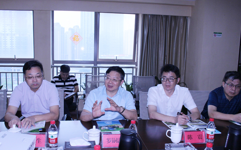 1600222067284728.jpg 1599641652502215.jpg