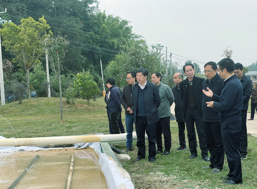 1607325273510301.jpg 1605259012771387.jpg