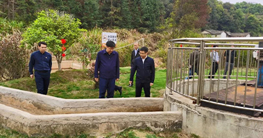 1617181225446928.jpg 23.jpg