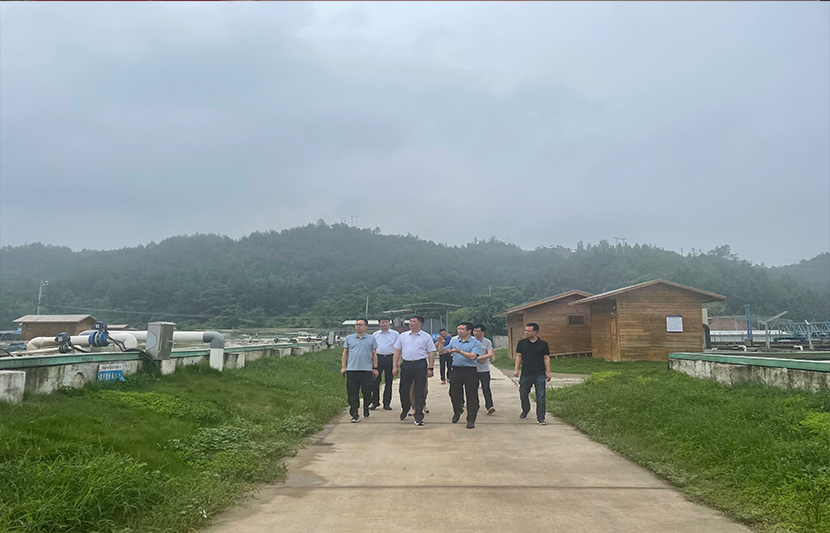 1623068676858484.jpg 11.jpg