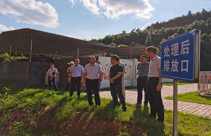 1623394989174149.jpg 33.jpg