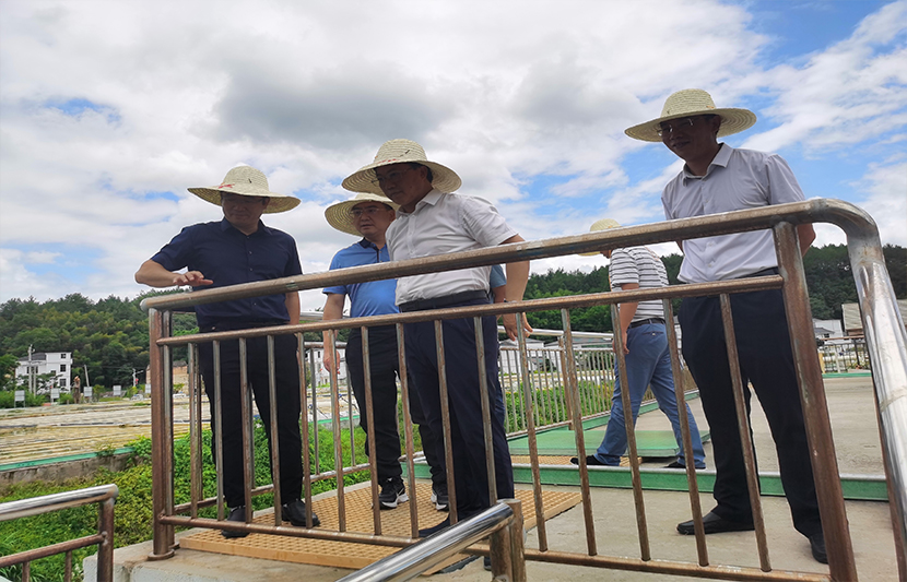 1623655048125050.jpg 7.jpg