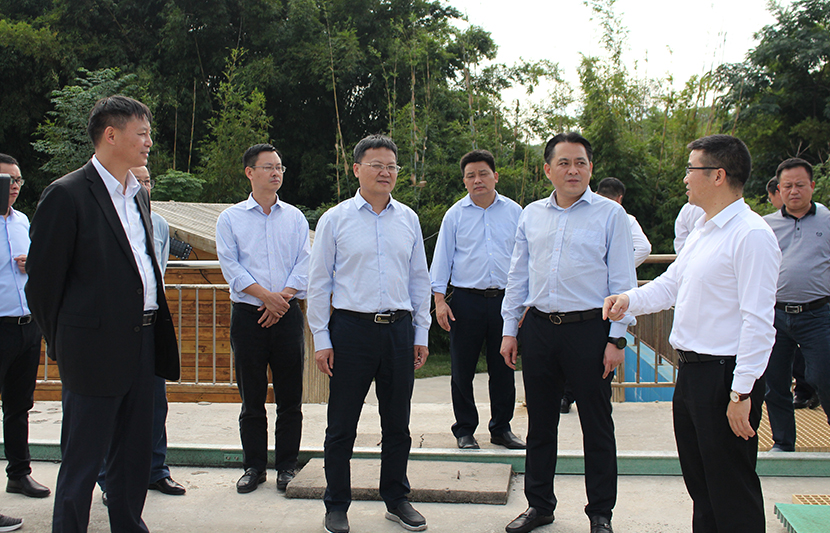 1634883126193805.jpg 8.jpg