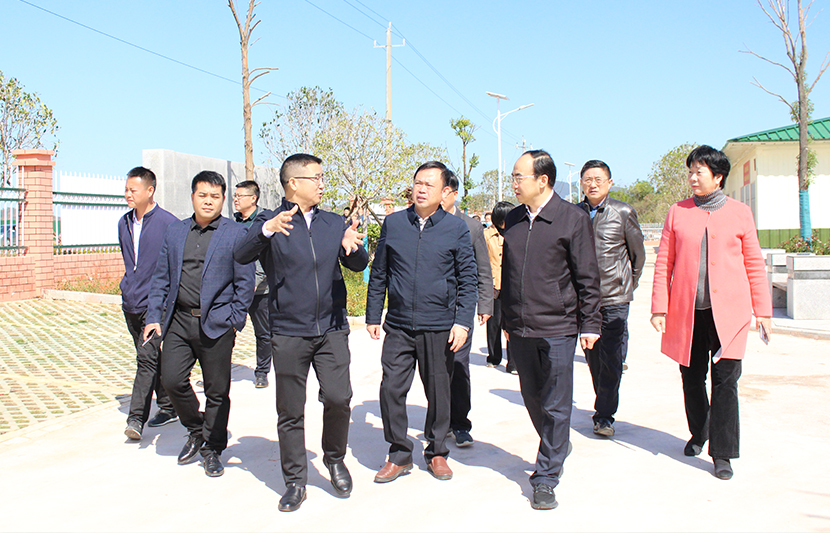 1636505497118957.jpg 1.jpg