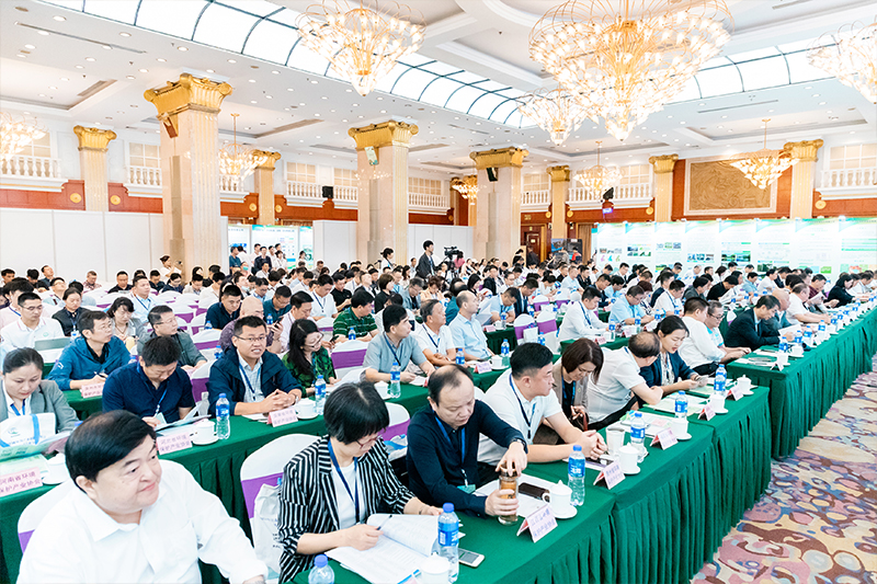 1699252996801356.jpg 3.jpg