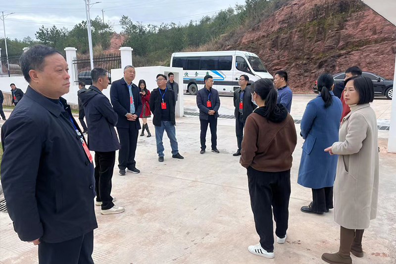 1702694256657628.jpg 2.jpg